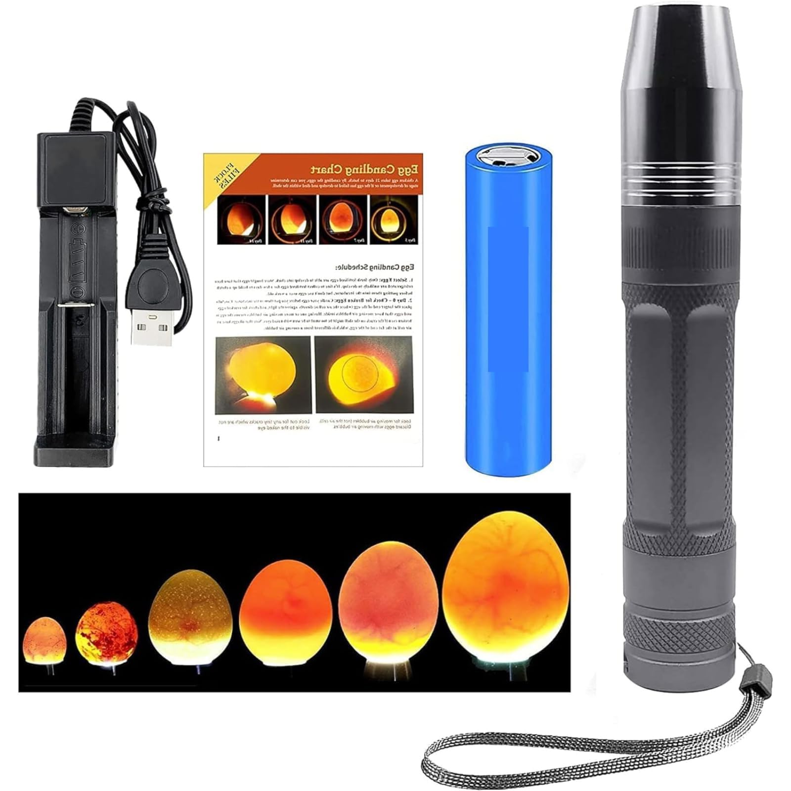 Dazzlestar 検卵器 LEDライト 孵化器 孵卵器 照卵器 孵卵機懐中電灯 たまご うずら アヒル インコ ダチョウ 鳥 検卵 有精卵 孵化用 (グレー)