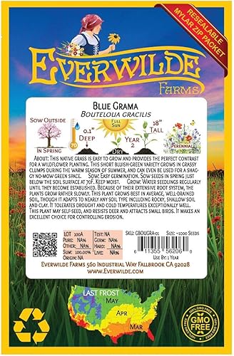 Miniatura 2 de everwilde explotacionesAzul grama Native semillas de pastoOro Vault