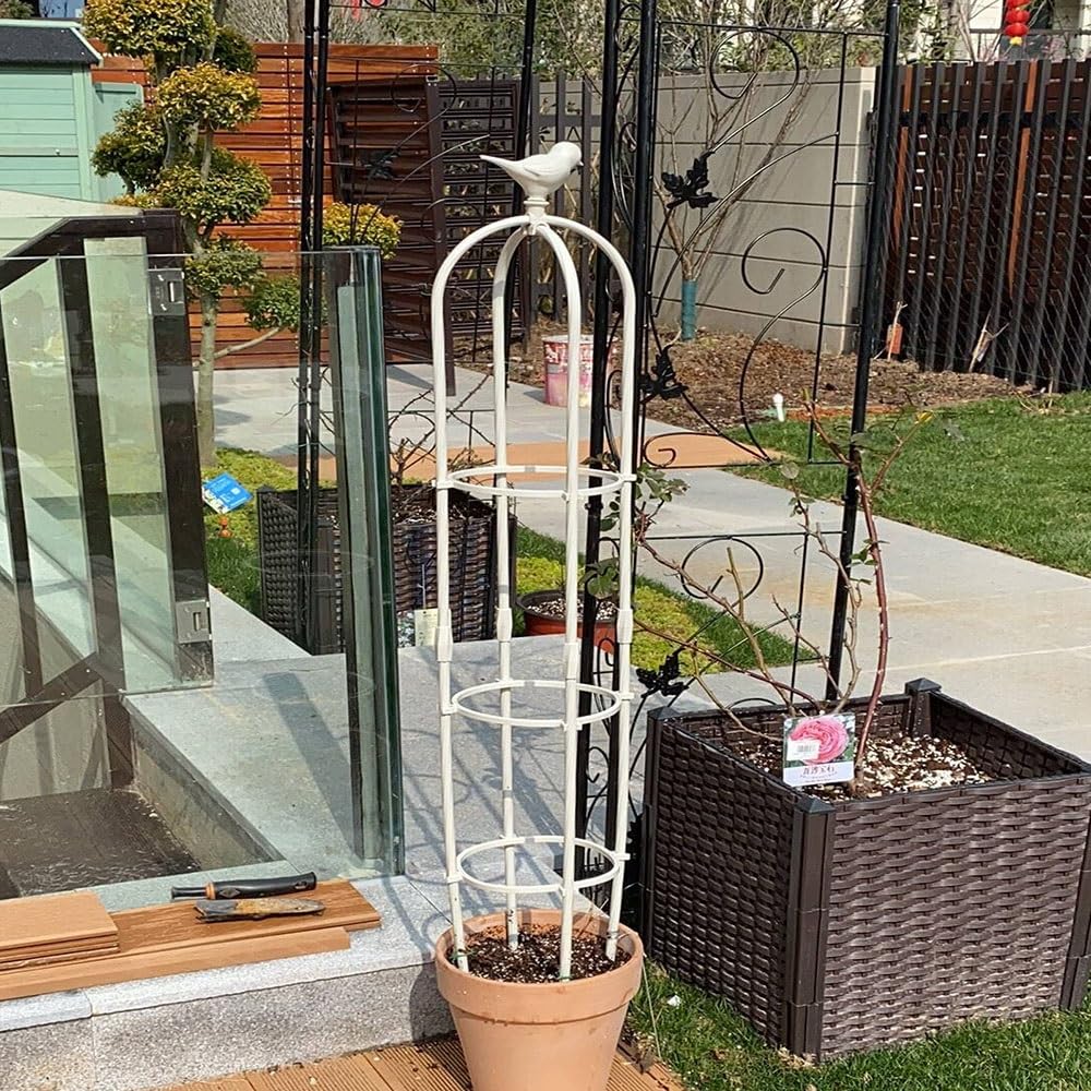 Traliccio per Piante da Giardino Obelisco Metallo per Piante Rampicanti 21x120cm 25x160cm 31x120cm 35x180cm Colonna di Rose Grigliato per Piante Rampicanti, Ortaggi e Fiori (Color : Black, Size : 25