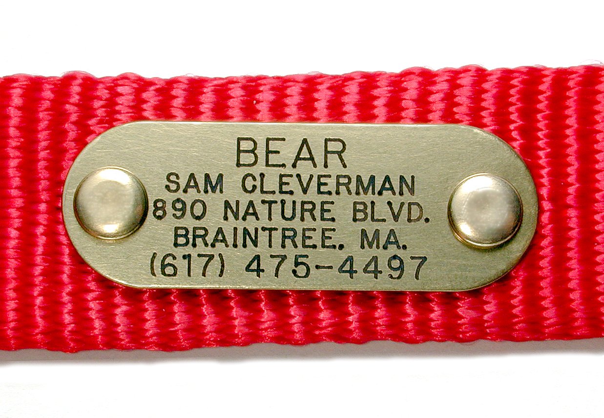 Quiet Collar Brass Pet ID Tag Custom Engraved (Message Seller with Engraving Information)