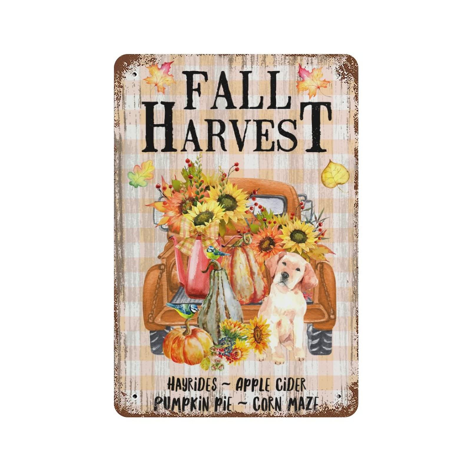 Panneau en métal Hello Pumpkin rigide et imperméable de 30,5 x 45,7 cm pour pelouse