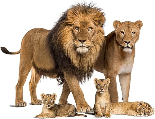 Miniatura 6 de Adhesivo de pared de león calcomanía de la selva 3D extraíble autoadhesivo mural de león feroz decorativo para guardería sala de estar dormitorio