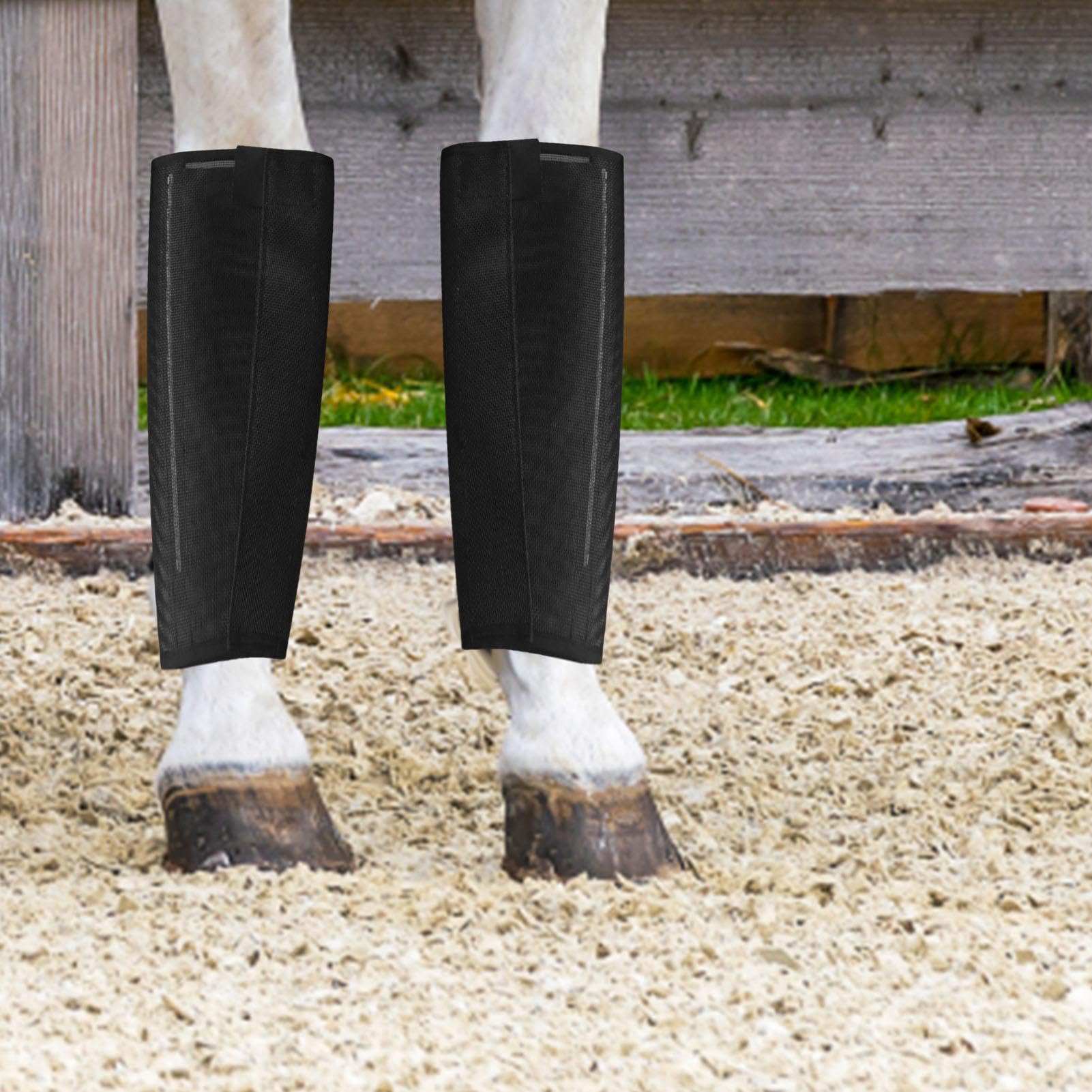 Vliegenbeenkappen voor paarden – professionele paardenpoten voorkomen vliegensteken – paard voor het hardlopen van paarden, training