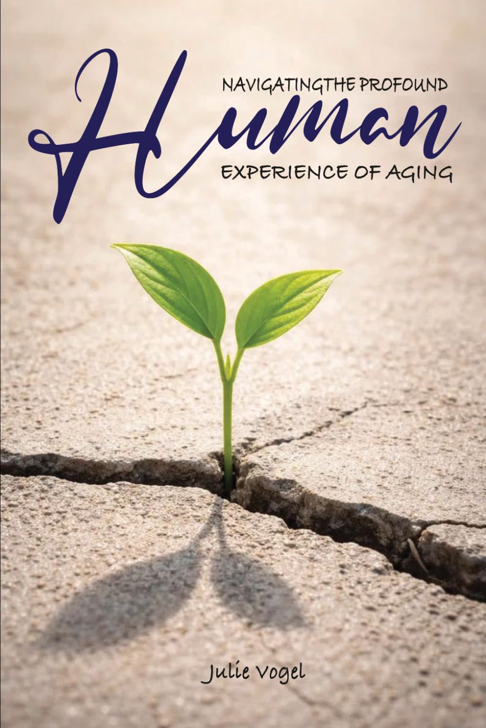 Navigating The Profound Human Experience of Aging