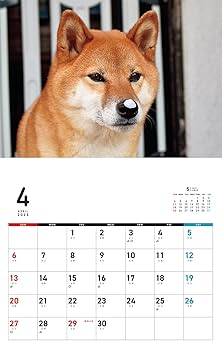 I・LOVEしば vol.2 (あなたのしば、ここにいます。) Amazon.co.