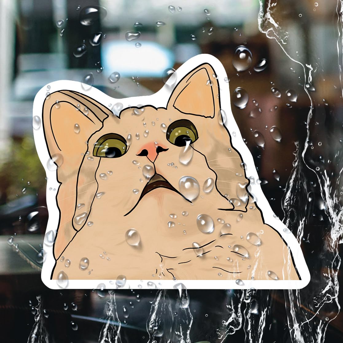 Scaed Sticker Funny Scared Cat Funny Scared Cat With Ruffled Fur