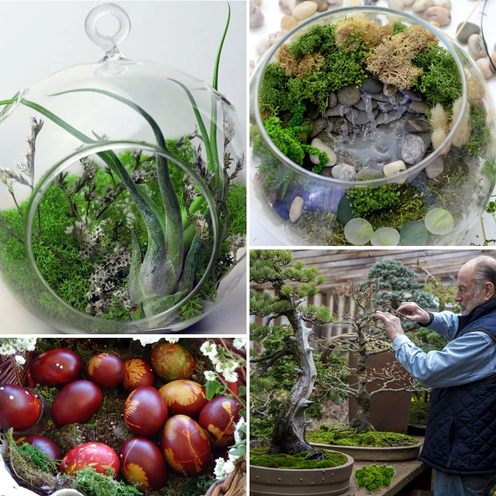 100g Muschio Stabilizzato per Presepe Naturale Muschio Finto per Decorazioni Lichene Stabilizzato Pannelli Licheni Stabilizzati Moss Muschio Artificiale Decorativo Islandese Muschio-Scuro