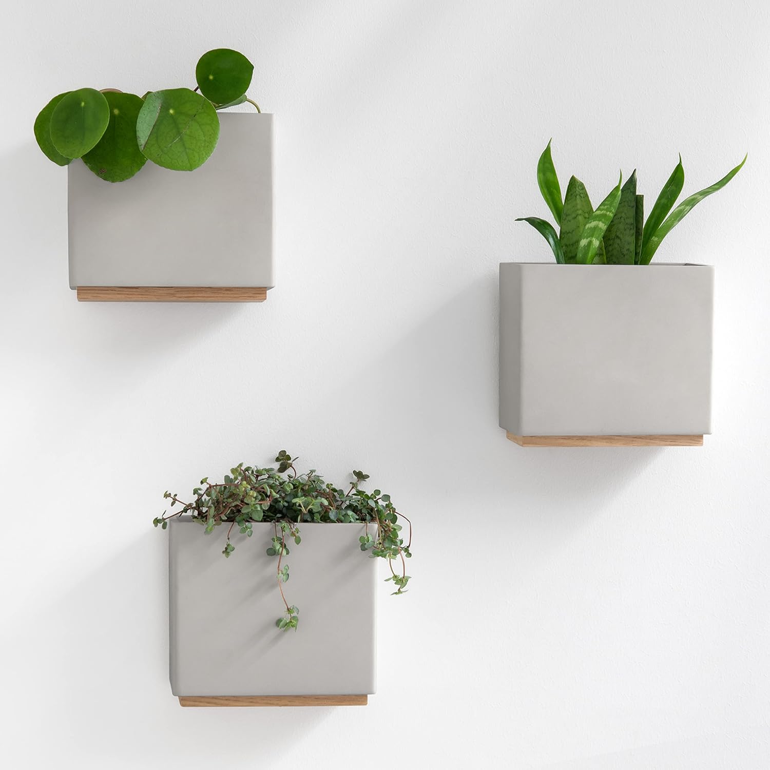 KAZAI. Jardineras de Pared -Alma- | 3 Macetas Colgantes Modernas de Resina | Set de Porta Plantas para Plantas de Interior, Plantas Artificiales y más | Gris