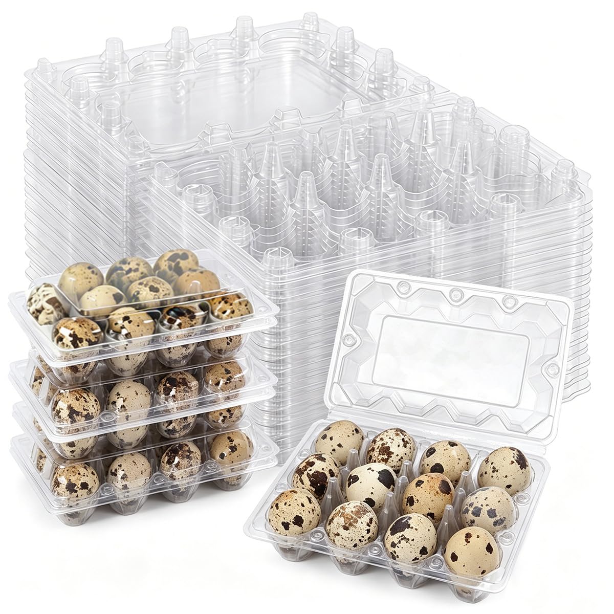 50 Pièces Boîte à Œufs de Caille,Conteneurs Pour œufs de Caille,Boîtes à œufs de Caille en Plastique,Modèle 12 œufs,Réutilisable, Gain de Place, Empilable et Transparent