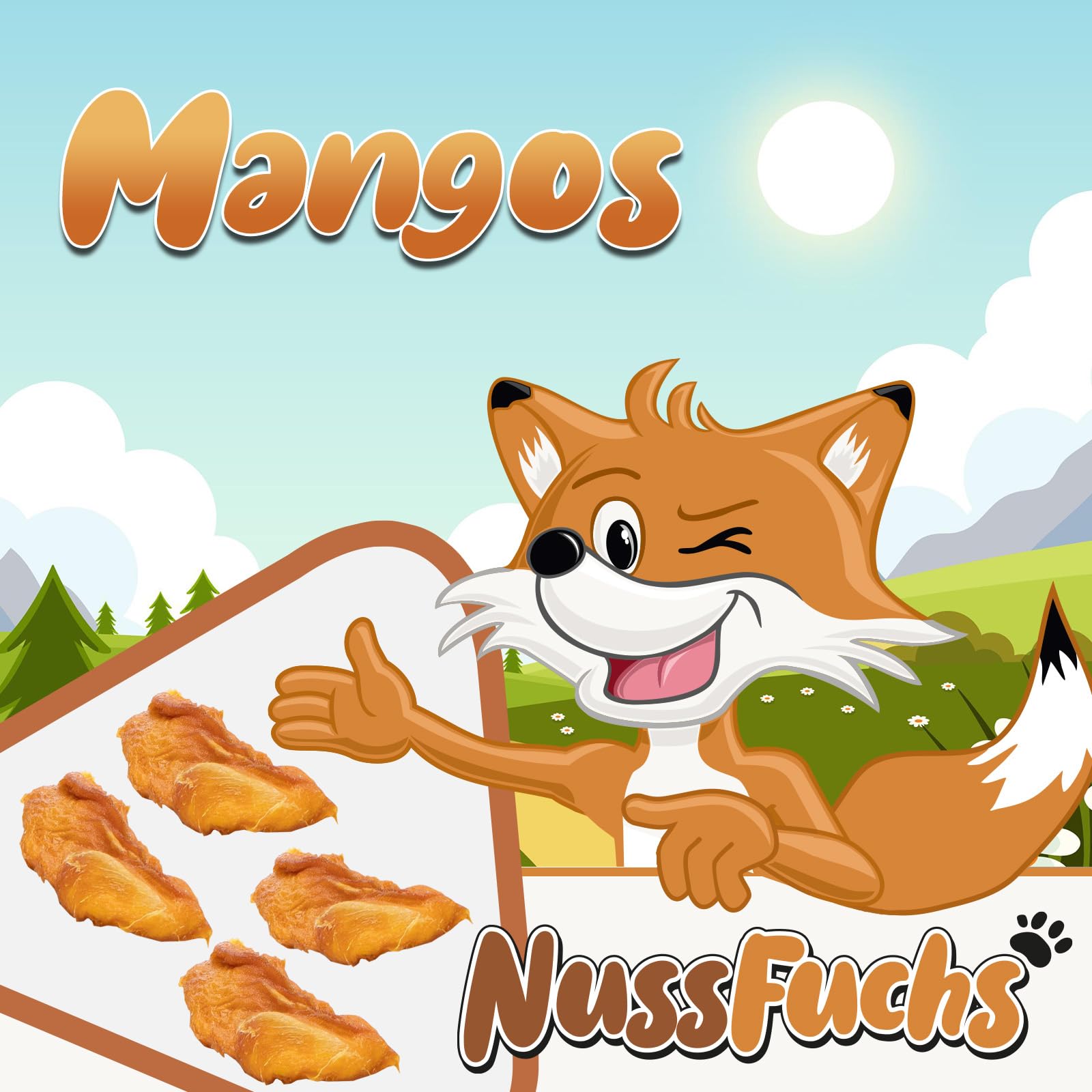 Mango 3kg im Eimer getrocknet naturbelassen ungeschwefelt NussFuchs
