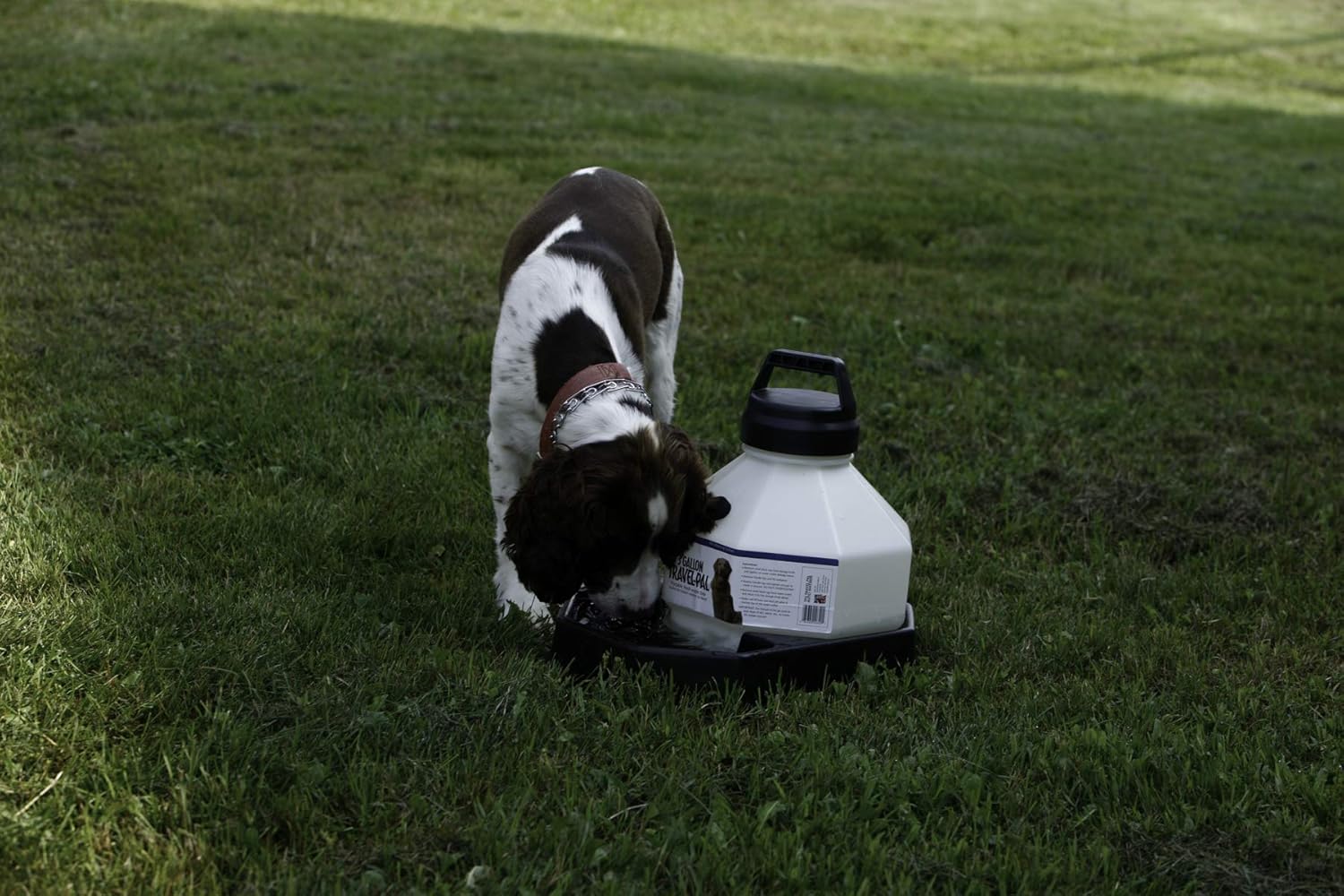 LITTLE GIANT Travel Dog Waterer - Pet Lodge - Travel Pal Pet Waterer, 3 Gallon (Item No. TP3)