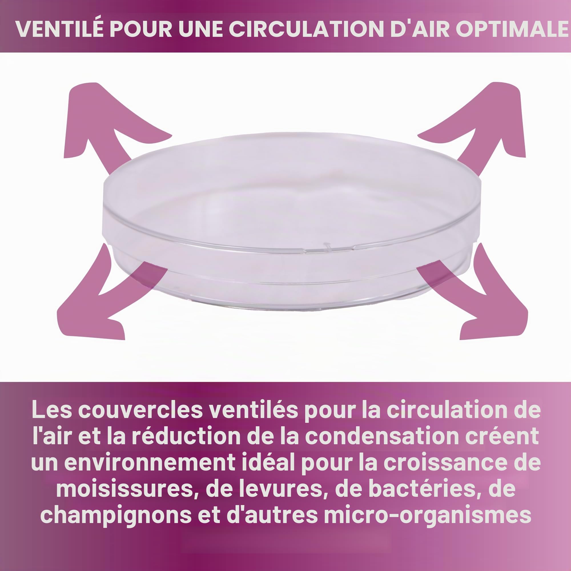 Labsales Lot de 20 boîtes de Petri stériles en plastique transparent non revêtues avec aération et couvercle, 90 mm x 15 mm de diamètre pour expériences scientifiques et laboratoires stériles et non