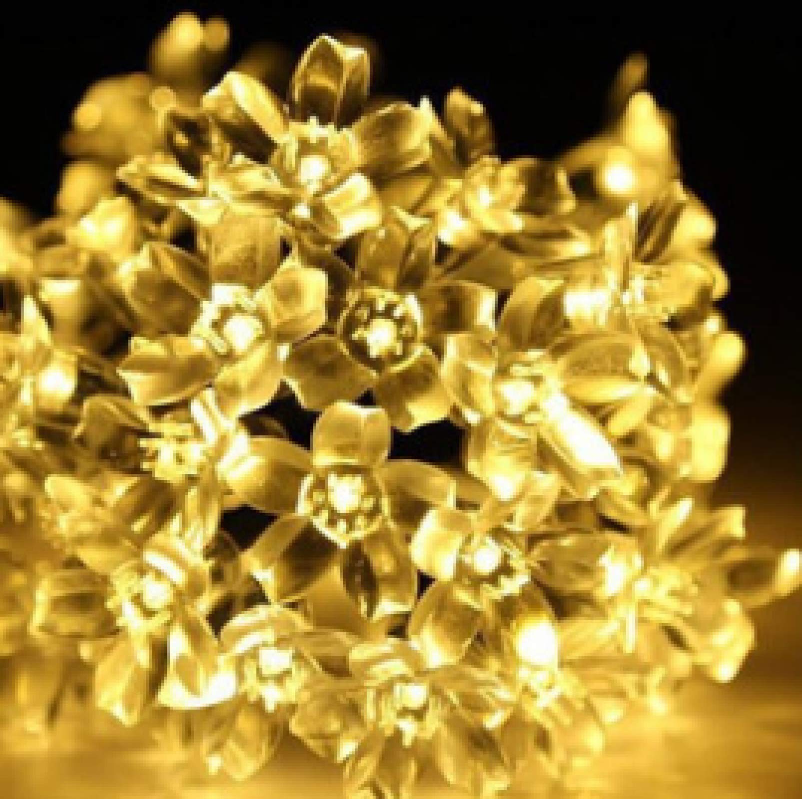 Cadena Luces LED Exteriores e Interiores, Cadena Luces LED solares Suelo, decoración jardín con Forma Flor durazno Exteriores e Interiores, iluminación navideña 12 m y 100 Luces A