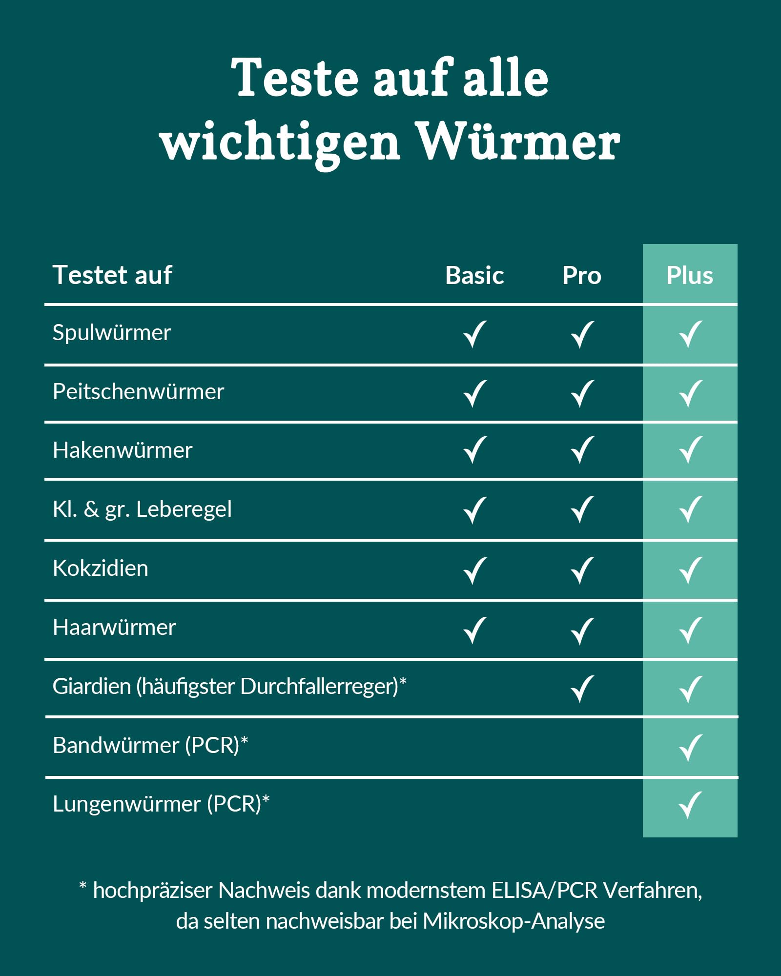 vetevo Wurmtest Hund Plus, inkl. Giardien, Bandwürmer, Lungenwürmer Hund, 10x Präziser Wurmtest für Hunde, Ergebnis in 24h, Für alle Hunde
