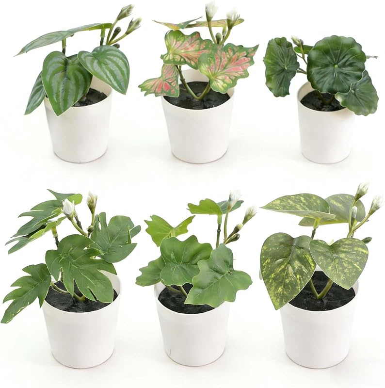 Paquete de 6 mini plantas artificiales en maceta, imitación verde Caladium Monstera Pothos de plástico falso tropical, decoración de hojas sintéticas en macetas blancas para el hogar, baño, cocina, escritorio, oficina, estantes, alféizar de ventana