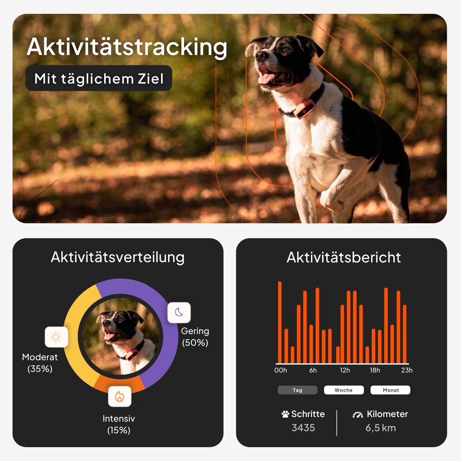 Weenect Hund XS – Mini GPS-Tracker für Hunde | Echtzeit-Tracking | Wasserdicht | Kleinstes Modell auf dem Markt | Funktioniert mit Abonnement