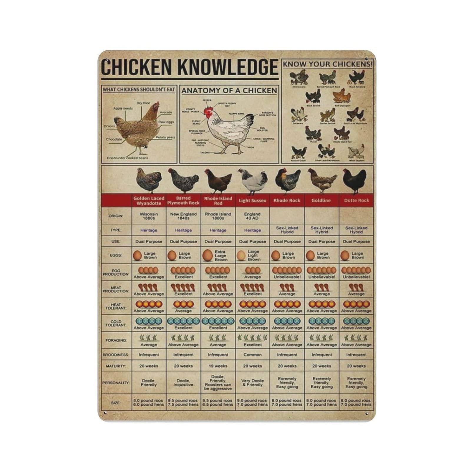AOOEDM Chicken Knowledge Vintage Tin Sign Metal Tin Signs for Man Cave Funny Art Wall Plaque Kitchen Bar Pub Coffee Shop Wall Decor