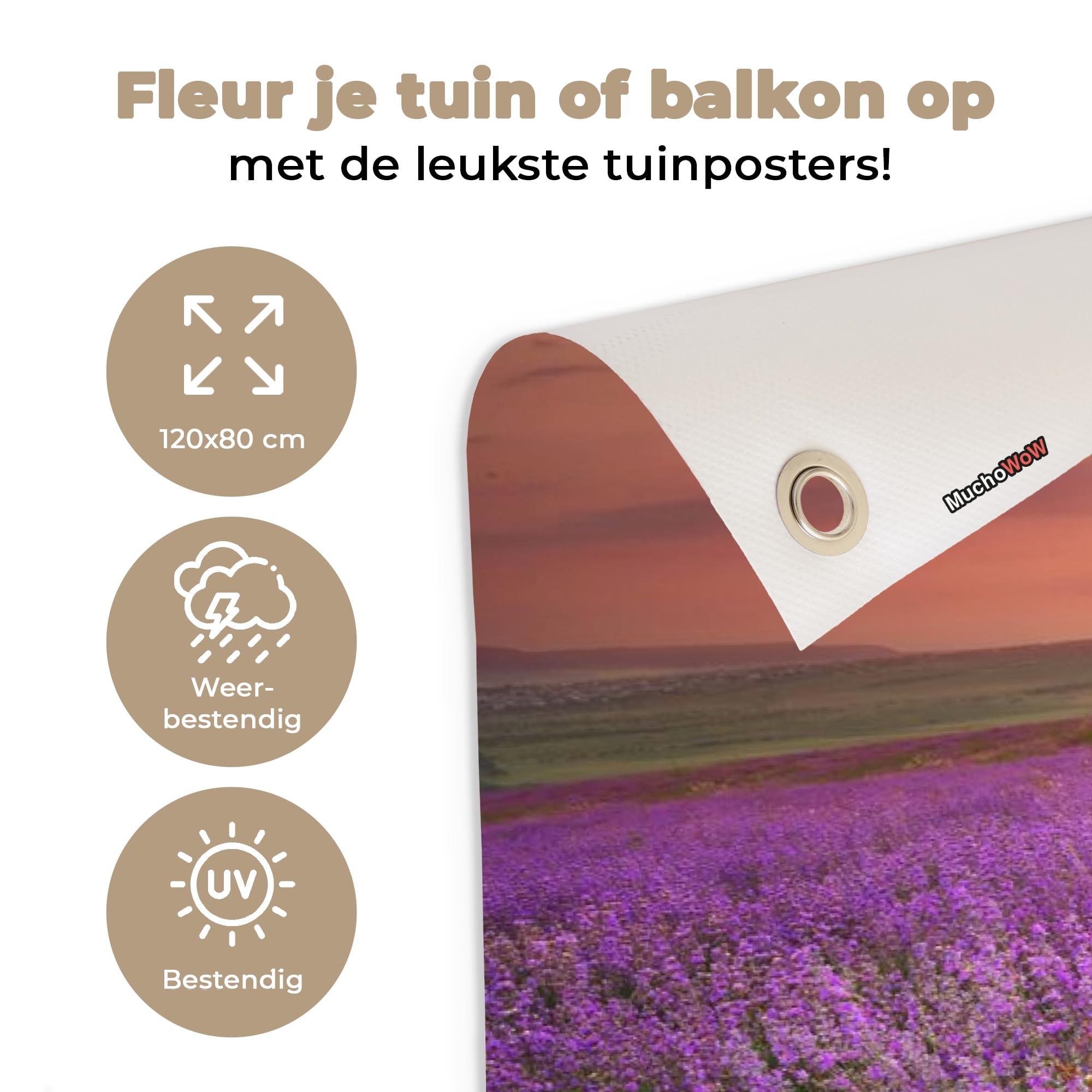 Tuinposter - 80x120 cm - Bij op lavendel