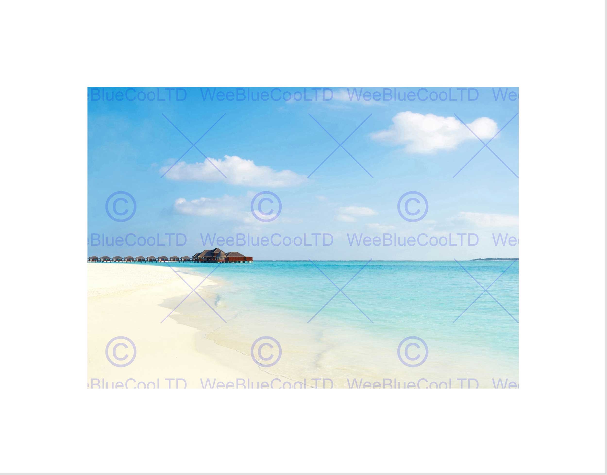Wee Blue Coo Tropical Beach Caribbean Seaside Black Frame Framed Art Print Picture B12X9479