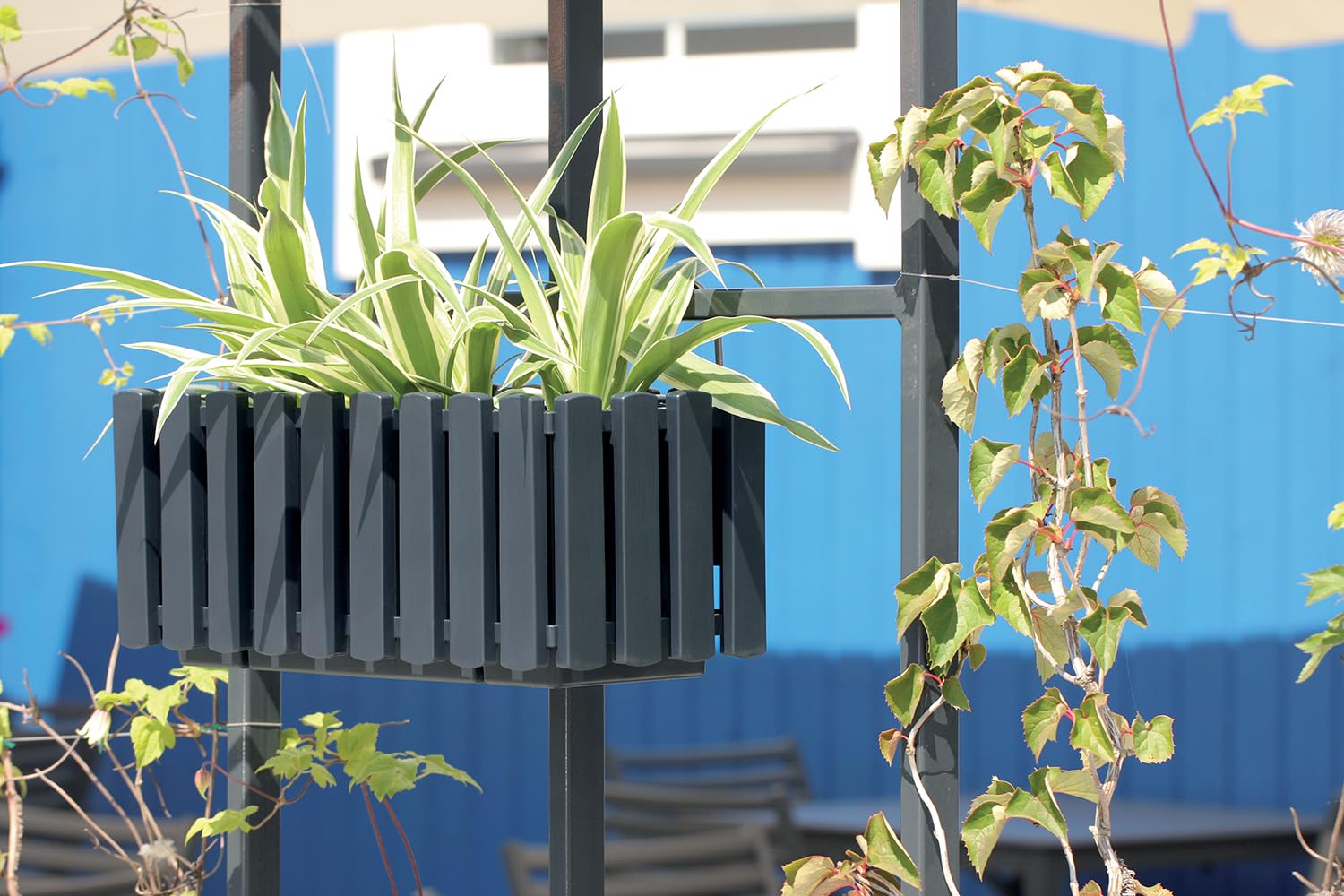 Fioriera Set 3 X 58x18x16,5 cm da balcone con sistema di irrigazione e tappi di drenaggio | Vaso per giardino moderno, protegge le radici e previene il ristagno d'acqua | Antracite