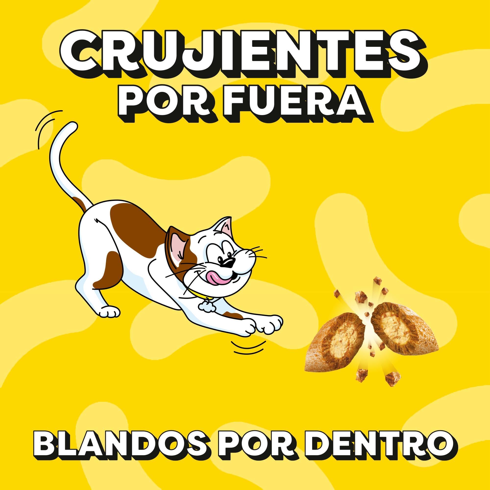 Mars Catisfactions Premios para Gatos, Sabor Salmón (Pack de 6 x 60g)