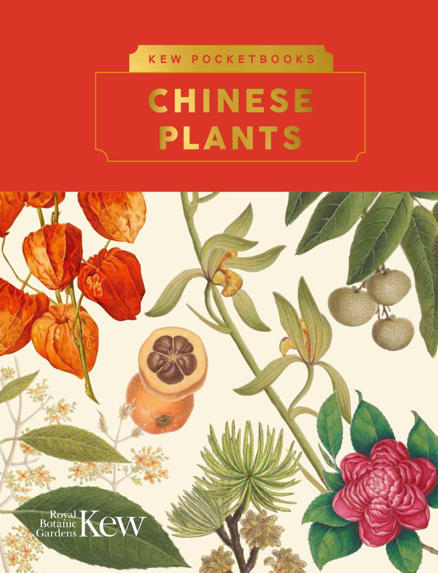 Alex Summers Unisex Multicolor Kew Pocketbooks: Chinese Plants Hardback