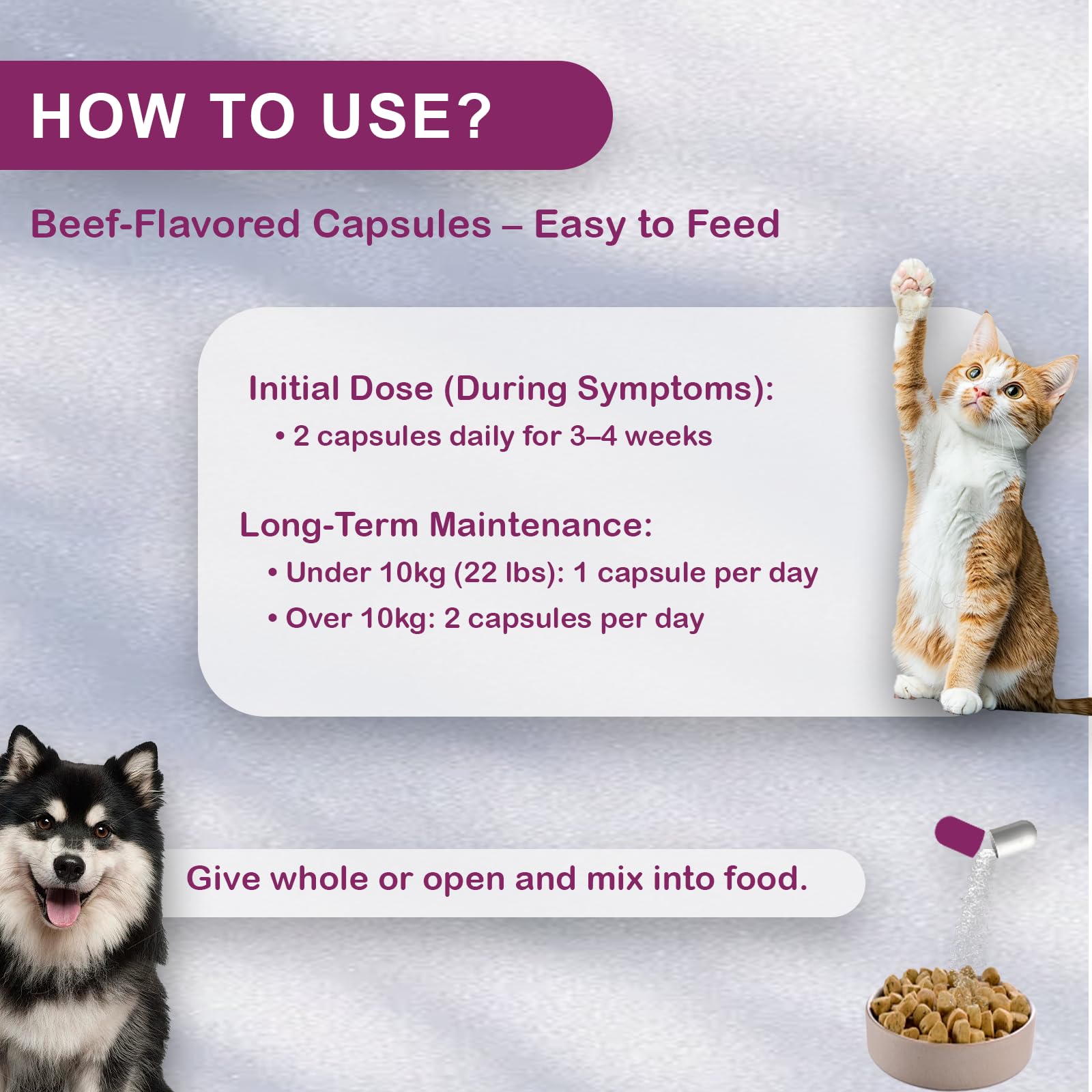 How to Prevent Urinary Tract Infections in Cats: Essential Tips