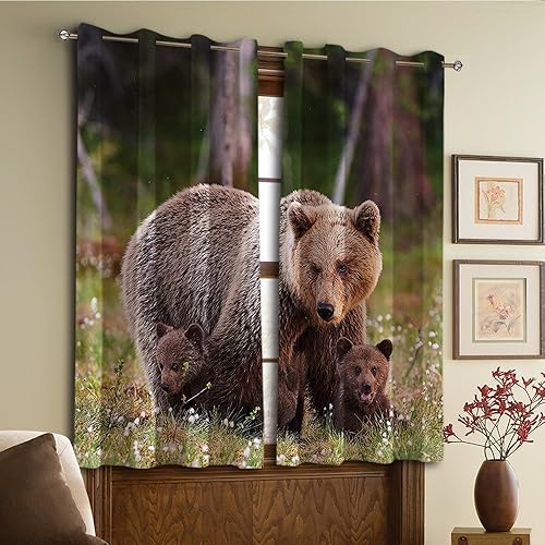 Bear Window Curtains Amazon Com