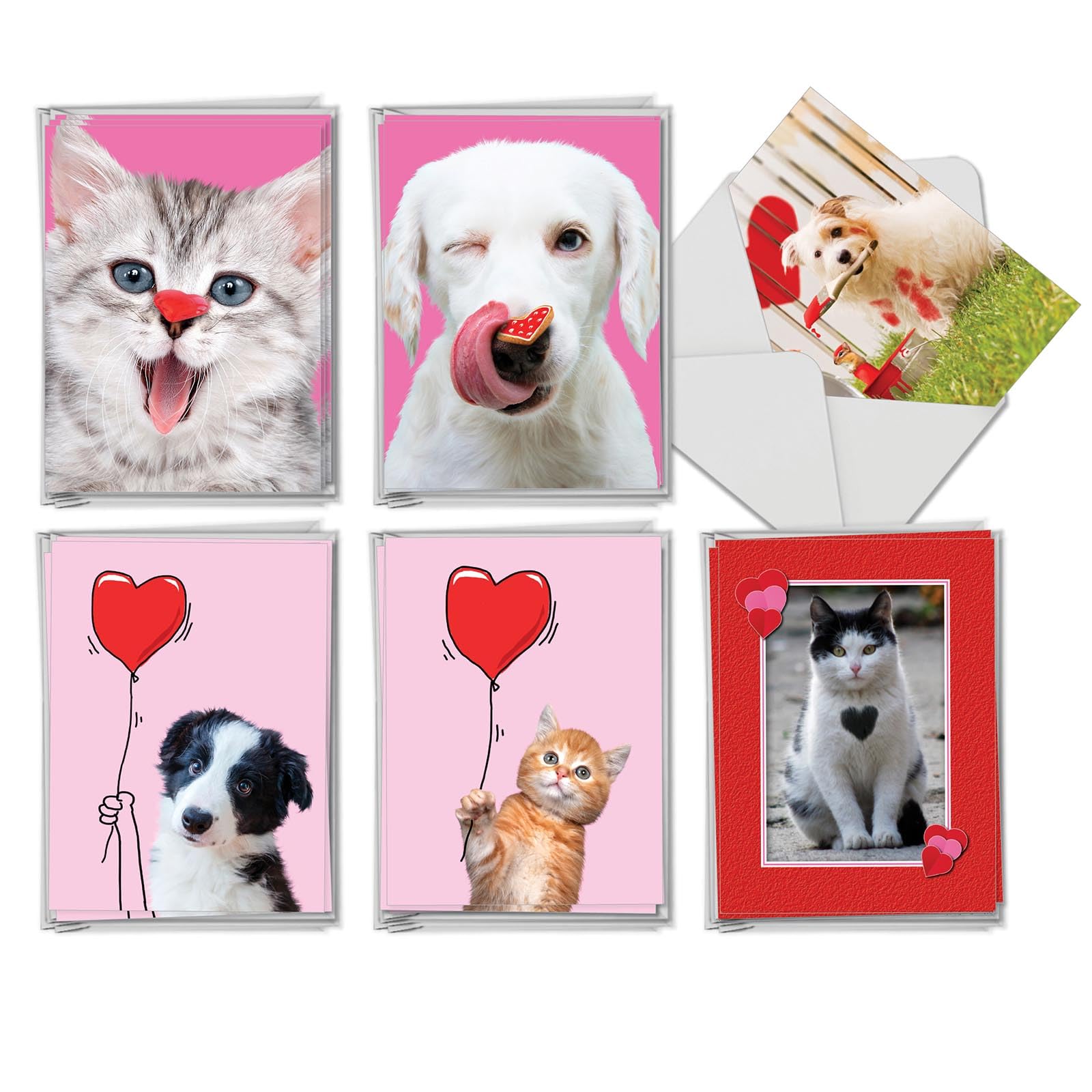 The Best Card Company Pet Love AM10972VDG-B6x6 Lot de 36 cartes de Saint-Valentin assorties 10,2 x 13,9 cm avec enveloppes (6 motifs, 6 de chaque)