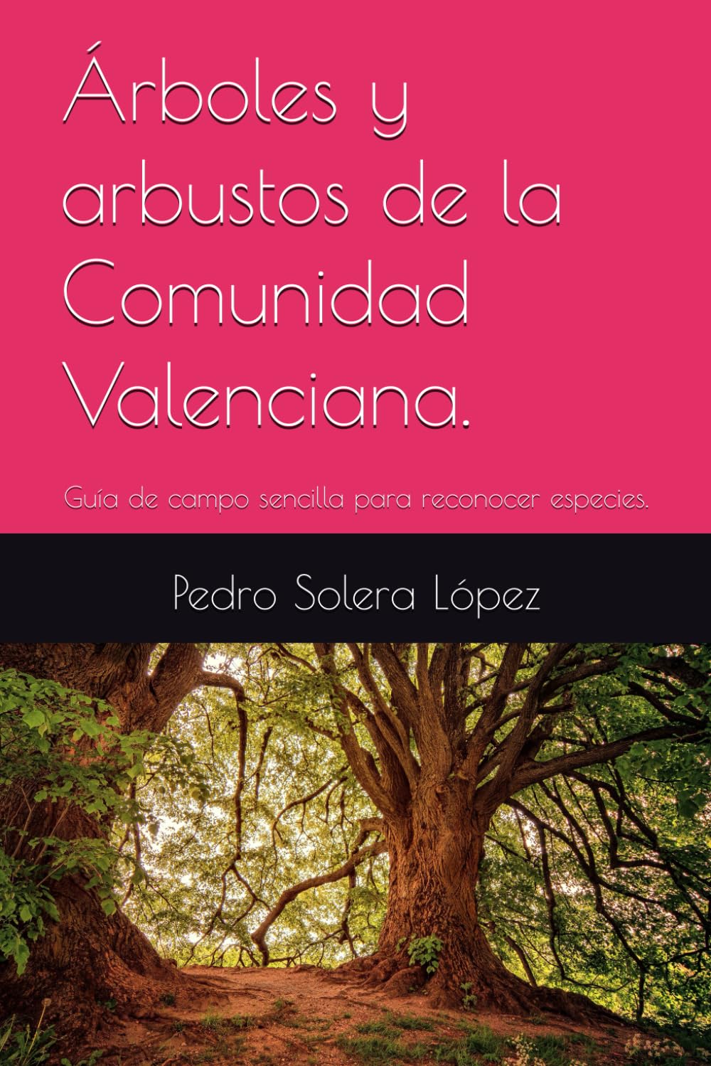 Árboles y arbustos de la Comunidad Valenciana.: Guía de campo sencilla para reconocer especies.