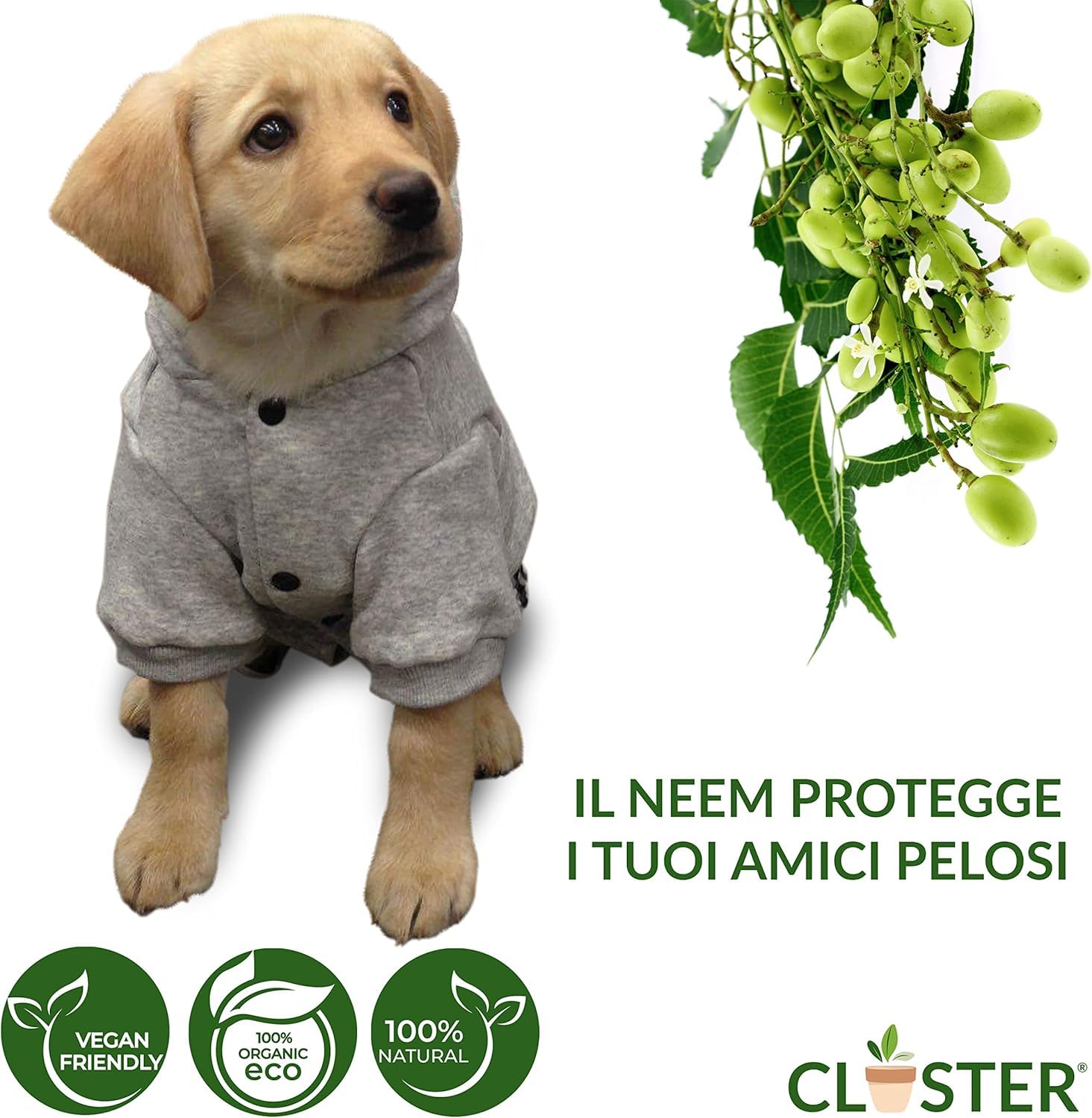 CLOSTER Neem Pet Protection 750 ML Antiparassitario Cani e Gatti - Olio di Neem Spray Pronto all’Uso - Repellente Zanzare Insetti Antipulci Contro Zecche Pulci Mosche Acari Pidocchi