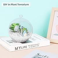 Vista 7 de T4U Piedras con virutas pulidas, cristal triturado de cuarzo 2 LB, gravas de forma irregular, piedras curativas de guijarro, rocas lisas DIY