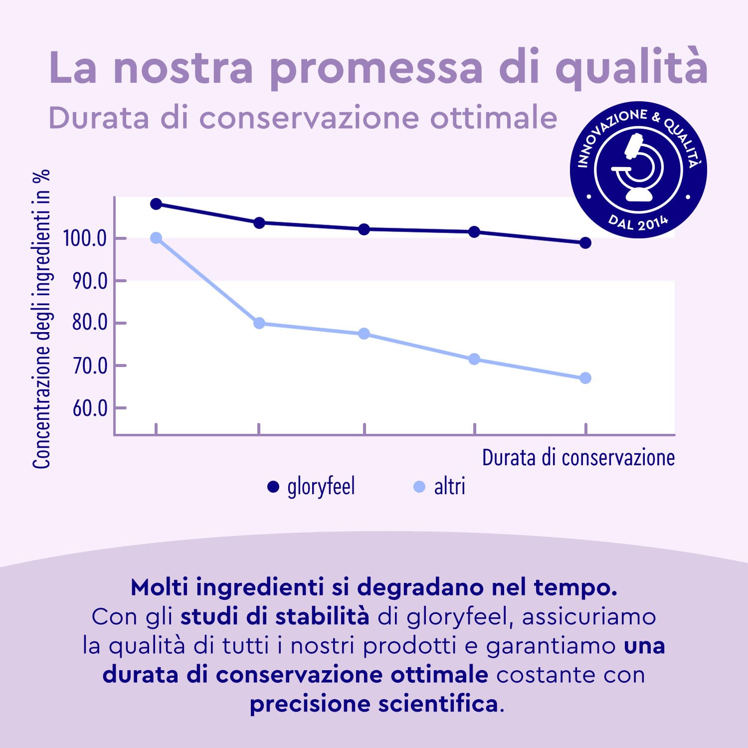 Proteine Vegane in Polvere Gusto Mirtillo - 1kg Proteine Vegetali - 33 Porzioni da 21g di Proteine - senza Soia - da Proteine in Polvere di Pisello, Fava e Girasole - 100% vegan e senza Glutine