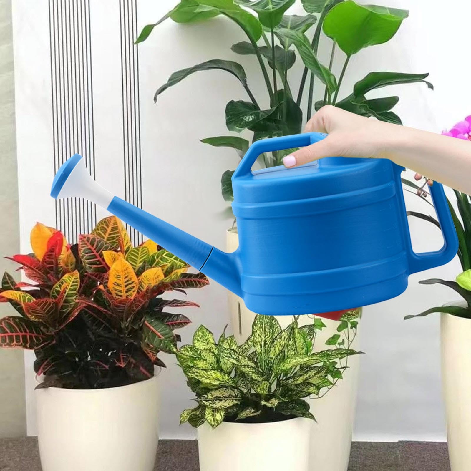 Arrosoir Pour Plantes D'intérieur 2 L 2 Modes De Pulvérisation - Petit Arrosoir Avec Long Bec Amovible Et Pommeau De Douche En Plastique - Arrosoir De