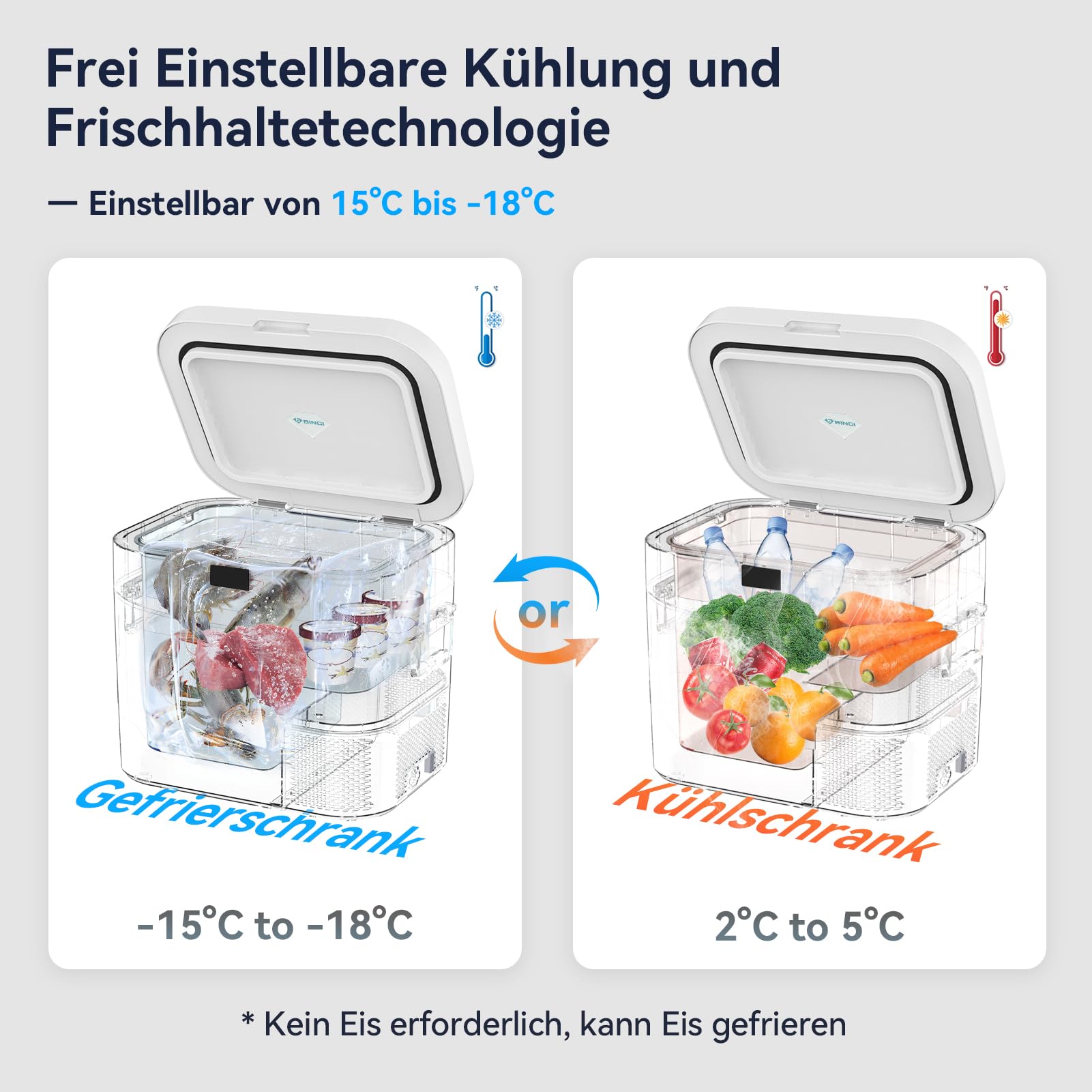 BINGI Kompressor Kühlbox 22L Mini Tragbarer Elektrischer Kühlschrank 12/24V DC Elektrischer Gefrierschrank Tragbarer Gefrierschrank für Auto LKW Picknick Camping und Heimgebrauch
