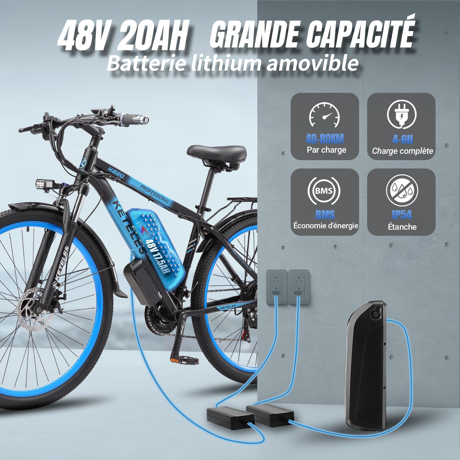 Vélo Électrique Homme Femme, Batterie Amovible 48V 20Ah Autonomie Jusqu'à 100 km VTT Électrique, 21 Vitesses avec écran LCD, Double Disque, 29x2.1 Trajets Quotidien