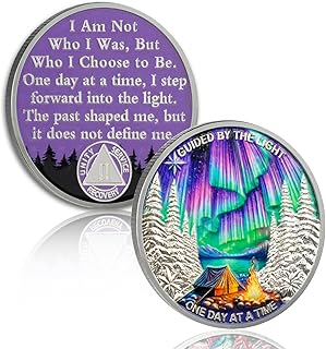 Guided by Northern Lights 2 Year Sobriety Coin - One Day at a Time AA Coin, Alcohol Free Two Year Recovery Chip with Token Capsule, Sobriety Gifts for Men Women