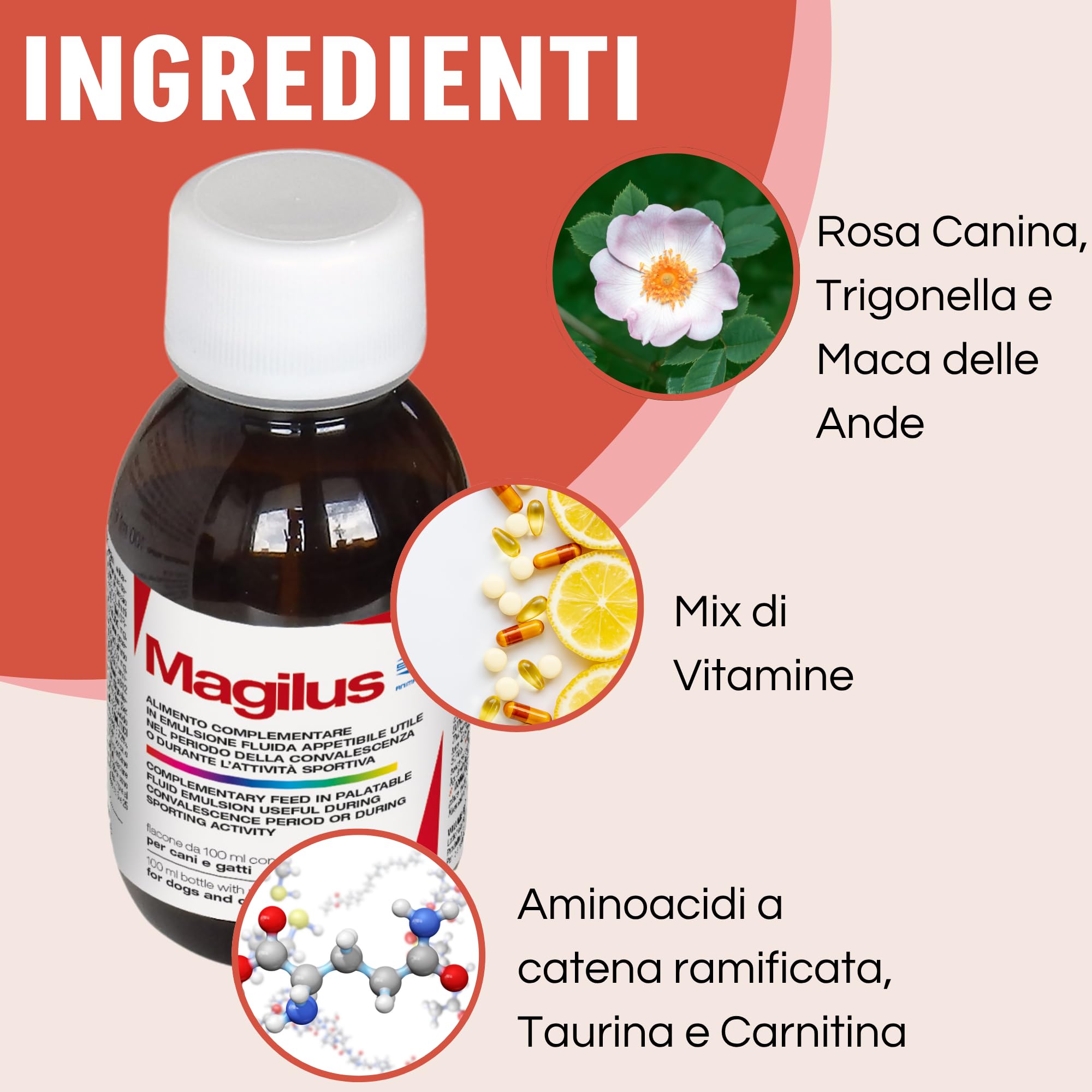 Magilus Integratore Cani e Gatti 100 ml - Aminoacidi, Vitamine, Carnitina e Taurina - Emulsione Fluida per Energia e Vitalità - Olio di Lino, Rosa Canina e Ferro