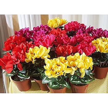 Amazon｜造花 枯れない花 アートフラワー フェイクフラワー