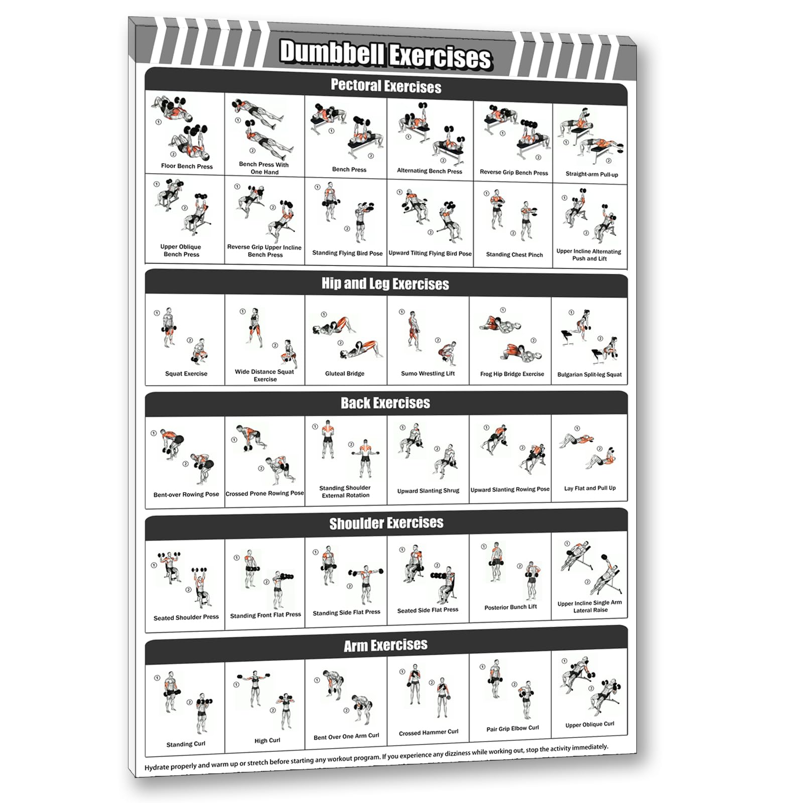 Gym Dumbbell Workout Poster for Men,Exercise Posters for Home Workouts,Fitness Follow-through Action Chart for Home Wall Decorations 16 * 24 IN Unframed
