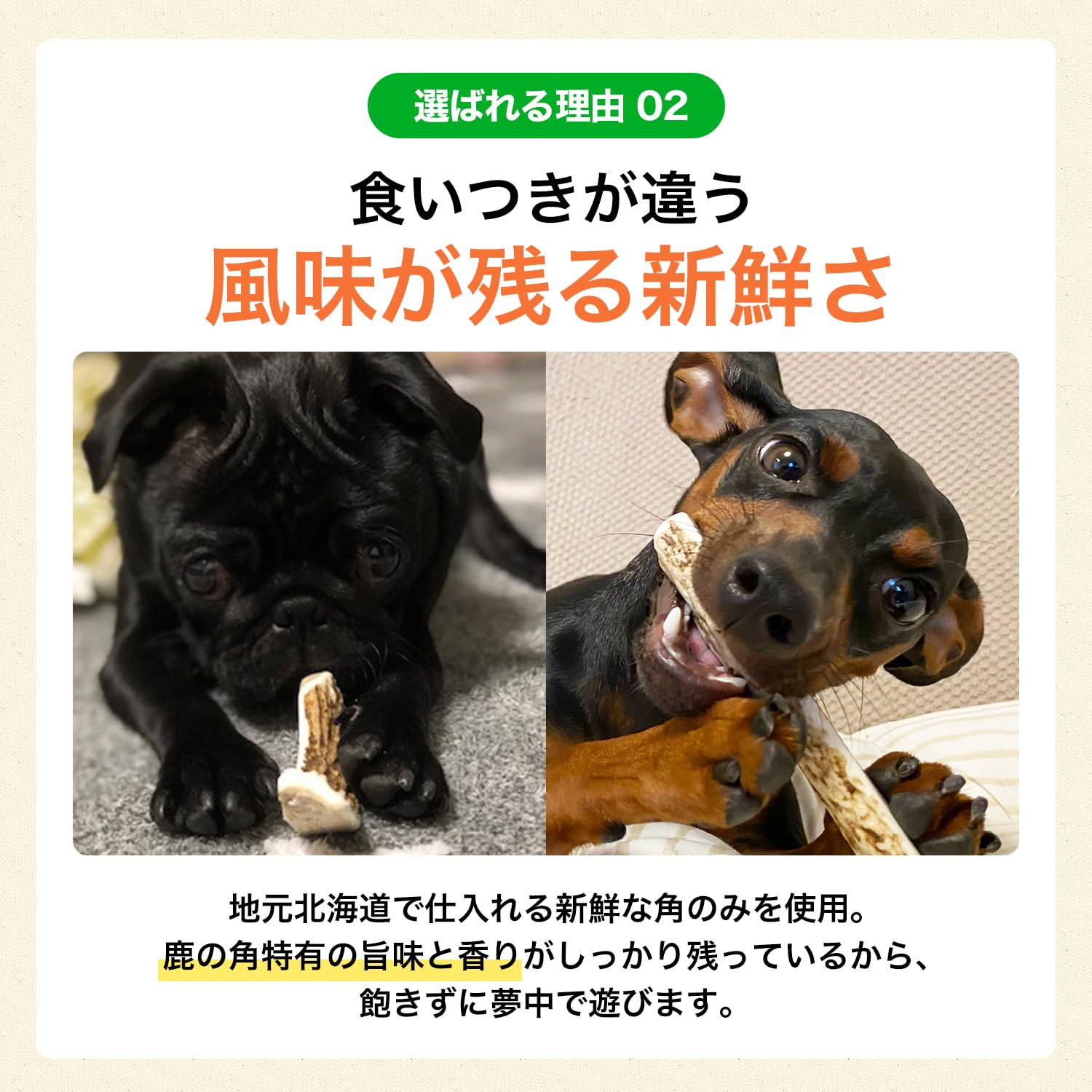 Amazon | 鹿角さん 鹿の角 犬 用 おもちゃ 小型犬用 四つ割り 1本