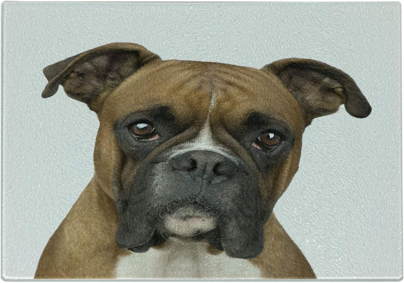 boxer dog decorative items
