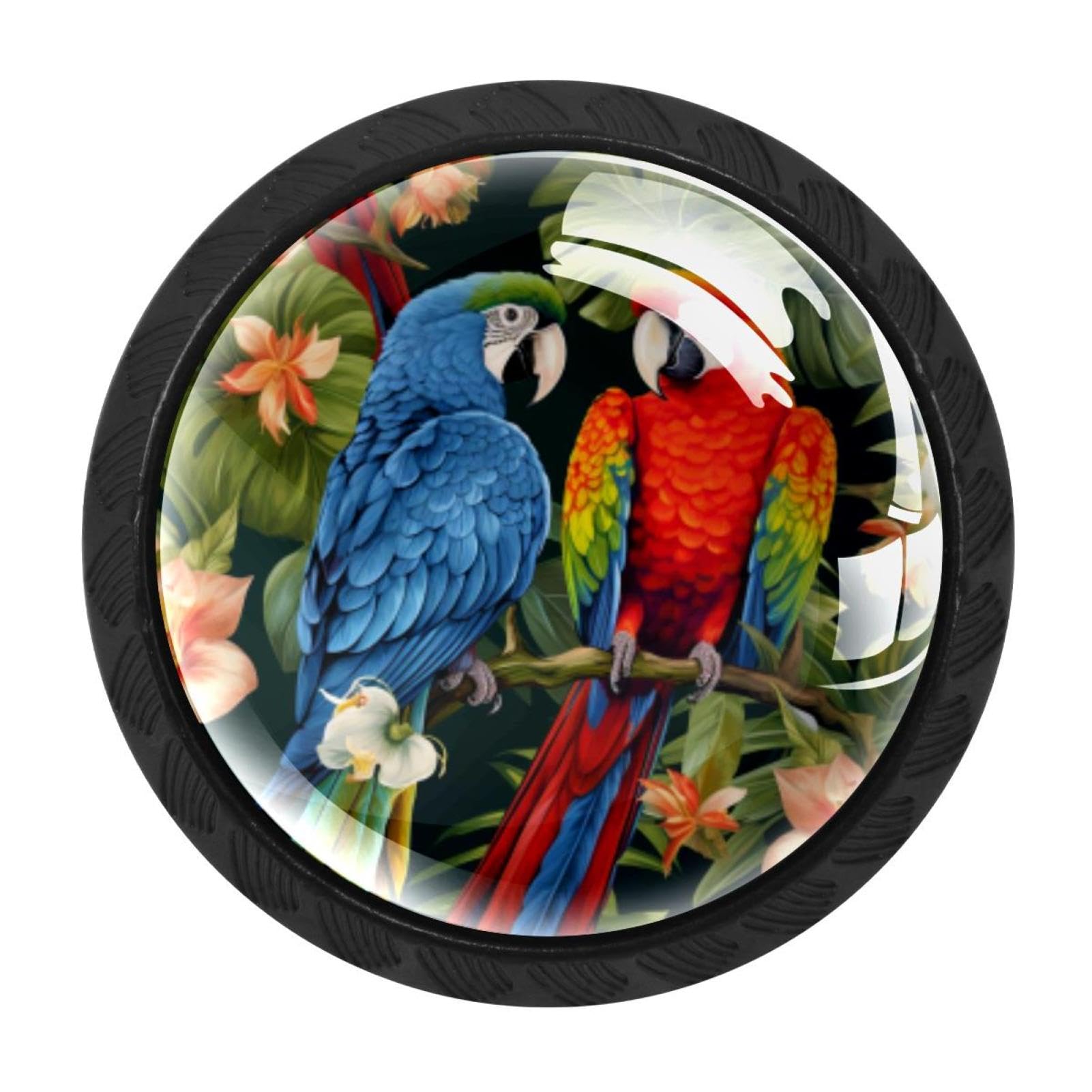 CHENZZZZ 4 pcs Parrot Cabinet Knobs Crystal Drawer Pulls for Kitchen, Bathroom Cabinet, Dresser and Cupboard