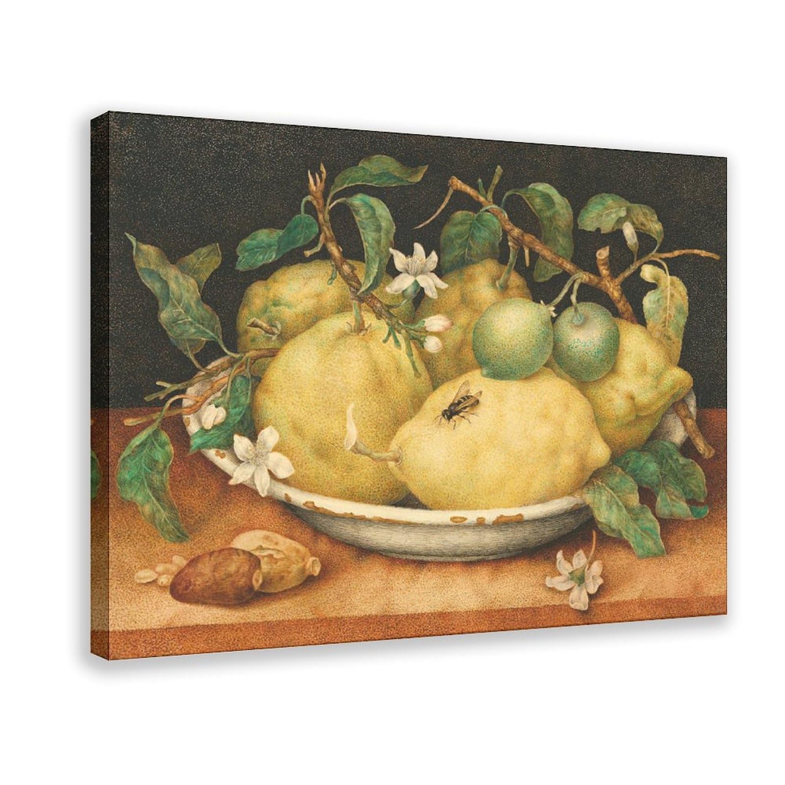 DFJyjFGJJ Giovanna Garzoni,Still Life with A Bowl of Citrons Canvas Wall Art Print Poster For Home School Office Decor 24" L X 36" W