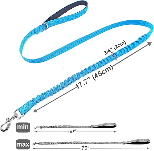 Miniatura 4 de Bungee Dog Leash- 5FT Shock Absorbing & Reflective Nylon Leash | Anti-Pull Training for Small/Medium Dogs | 2cm Wide, 6 Colors (Teal)