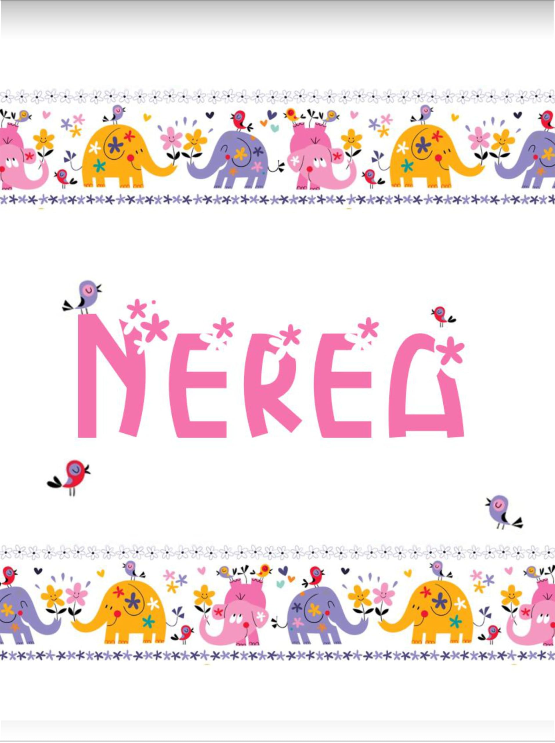 Estor Infantil Personalizado con Nombre | Estor infantil niña estampado Elefantes y Flores 010| Cortina Enrollable Translúcida para Habitación de Bebé o Niña | Hecho en España (40X60)