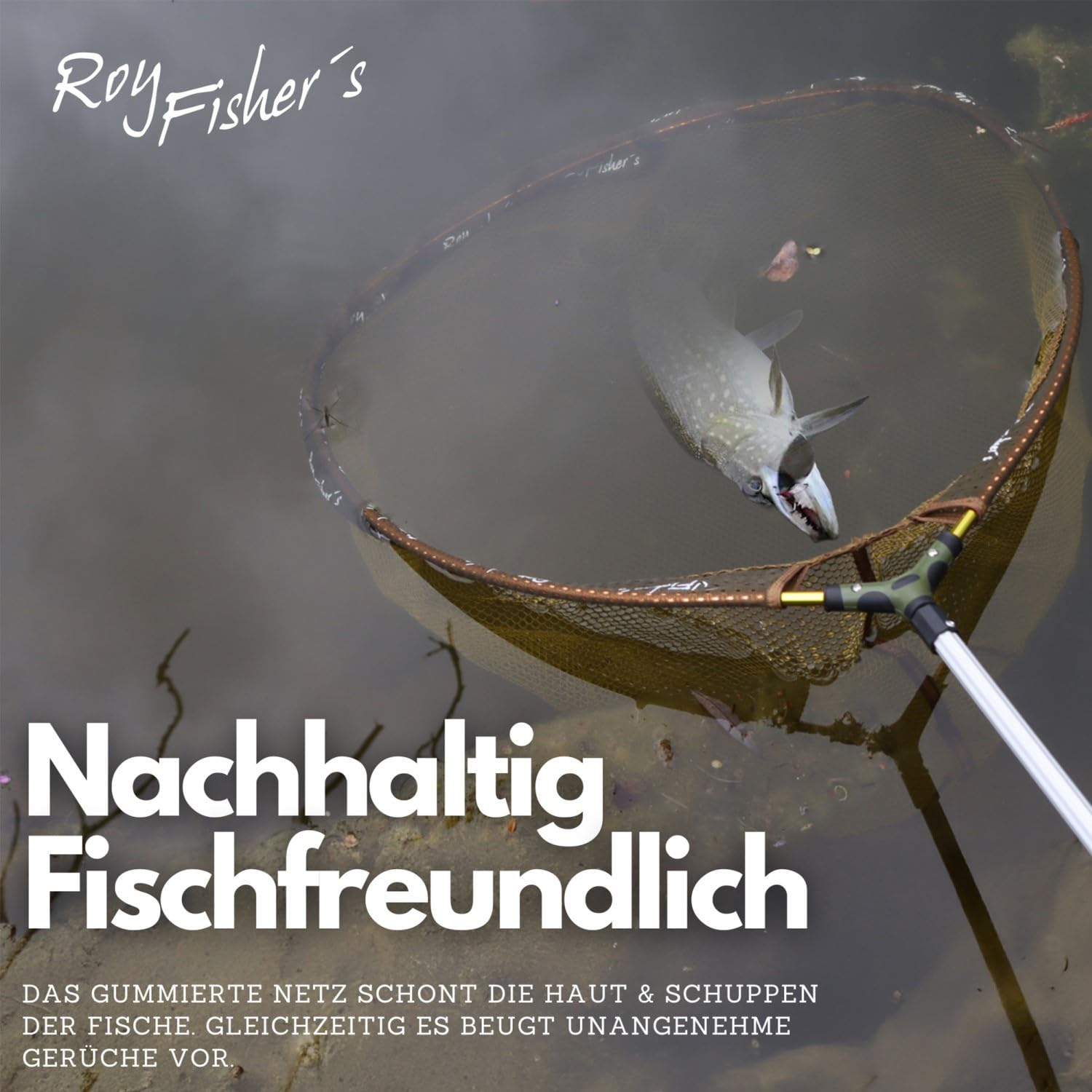 Roy Fishers Gummierter Kescherkopf Safely Rubber Net | Fischschonendes Netz, Aluminium-Rahmen, Universal-Gewinde für Kescherstäbe, Schnelltrocknend & Geruchsarm