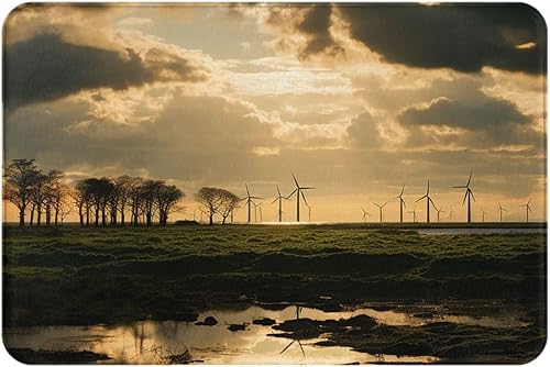 Nature Image Print Flannel Doormat Absorbent Non-Slip Floor Mat Welcome Door Mat Personalised Entry Way Mat Washable Bath Rug for Outdoor Kitchen