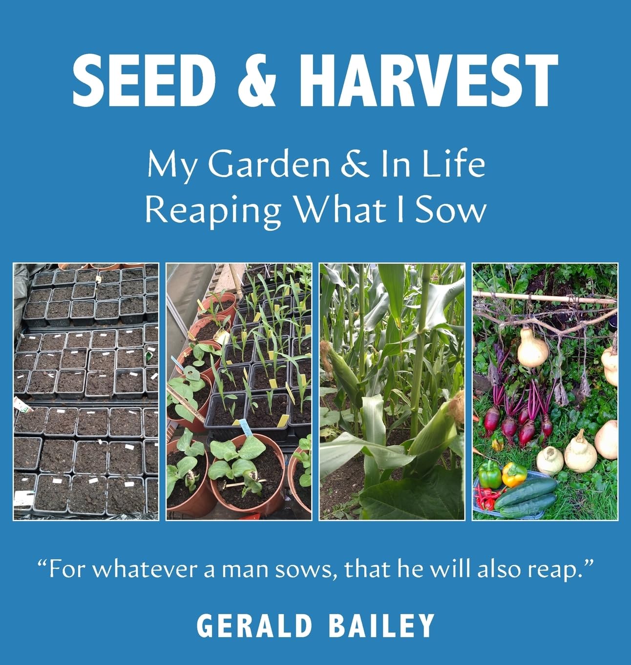 Seed & Harvest: My Garden & in Life: Reaping What I Sow