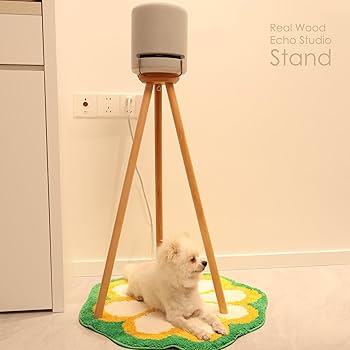 エコースタジオ Echo Studio (エコースタジオ)Hi-Fiスマートスピーカーwith 3D